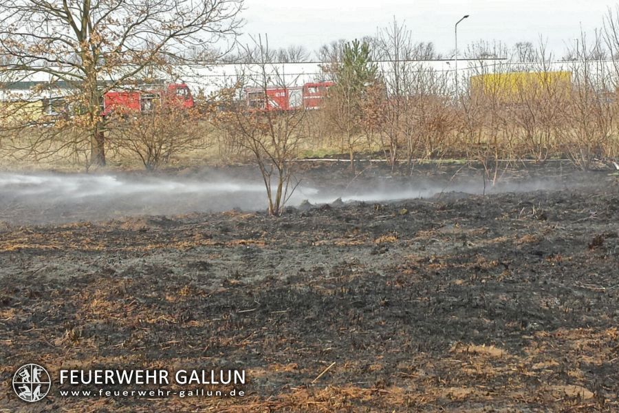 Einsatz 14-2015